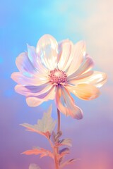 Fototapeta premium Backlit flower showcasing delicate petals under a soft, colorful illumination