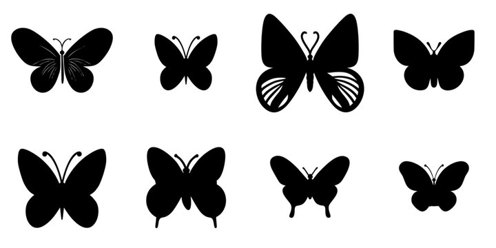 vector illustration of multiple butterfly silhouettes