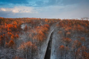 Aerial landscape of the road through snowy forest at winter, Poland. - obrazy, fototapety, plakaty