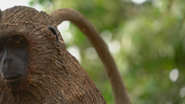Close-up of monkey statue of Buganda African kingdom culture represents clan, Kampala in Uganda. Panning