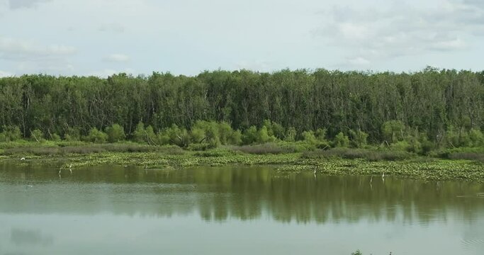Birds Flying Above Spile Lake Backdropped By Dense Forest In Osage Township, Missouri. pan left
