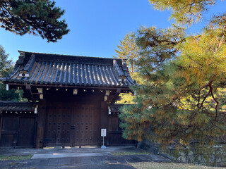 Fototapeta na wymiar 皇居の建物