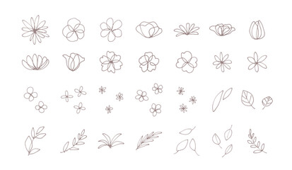 シンプルでお洒落な植物の装飾イラストセット　花　葉　ペン画　手描き　落書き　フローラル