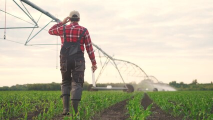corn field irrigation. a male farmer walks with a tablet through the corn field. irrigating corn...