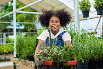 Portrait of African kid is choosing vegetable and herb plant from the local garden center nursery...