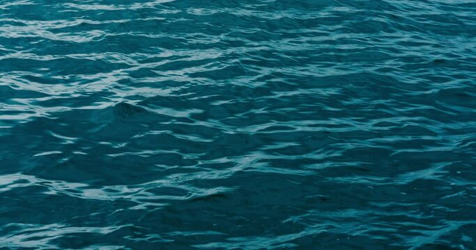 beautiful sea waves
