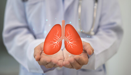 Doctor holding checkup care Lung health therapy, respiratory disease, lung cancer, bronchitis,...