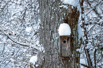 birdhouse on tree, nacka,sweden,sverige,stockholm,Mats