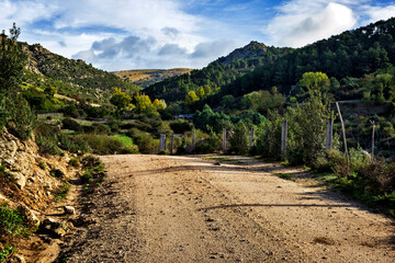 Fototapeta na wymiar Camino en la Sierra de Malagón.