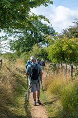Vertical view over public footpath Cotswold Way in the Cotswolds, UK, with several hikers on the narrow trail between green trees, bushes and grasses