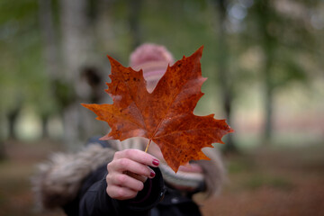 Woman holding a leaf in her hand which is hiding her face, in an autumn forest