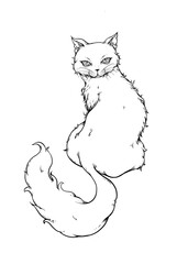 Sketch of a cat. illustration on a white background.