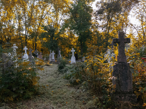Graves overgrown with weeds. Crosses over graves in a forgotten cemetery. Monuments of Christianity.
