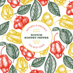 Hand drawn sketch style scotch bonnet pepper banner. Organic fresh vegetable vector illustration. Retro cayenne pepper design template - obrazy, fototapety, plakaty