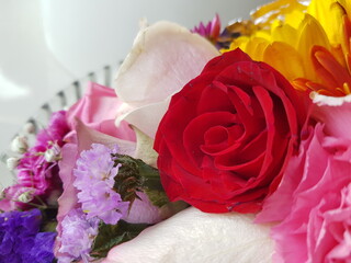 pink and white roses