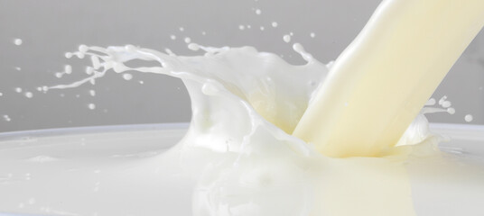 Milchsplash, Milch, action, Splash