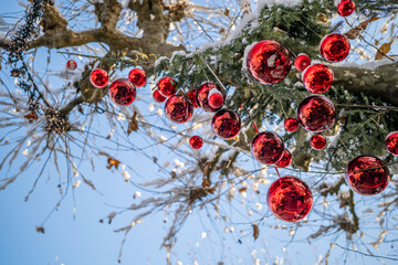 Snow-Covered Tree with Red Christmas Balls and Fairy Lights