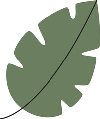 Tropical Tree Leaf