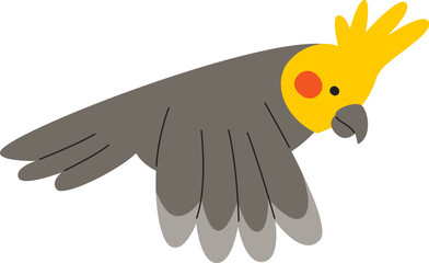 Corella Parrot Flying