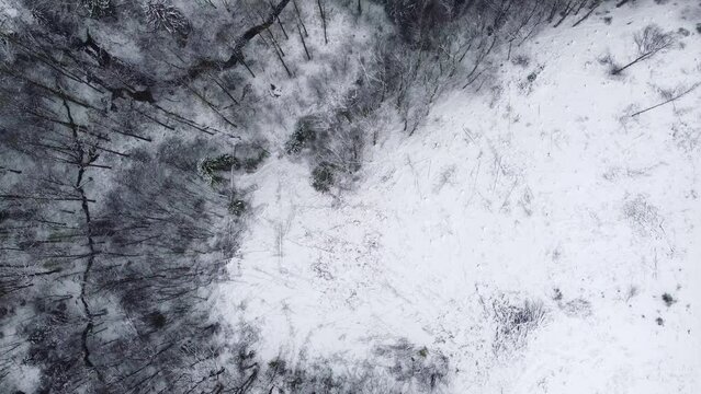 Small river and a road leading through a forest covered in snow during winter