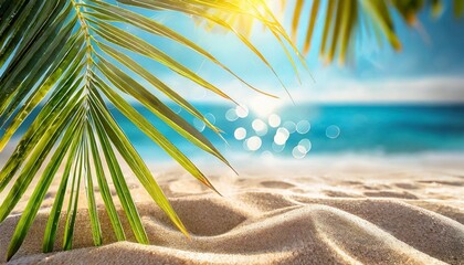 summer banner sunny sand with palm leaves in tropical beach