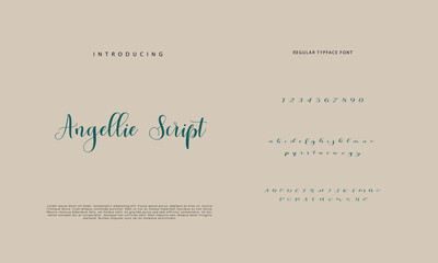 Signature font calligraphy logotype script brush font type font lettering handwritten