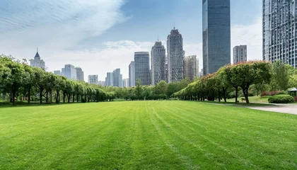 Deurstickers Central Park green lawn in urban public park