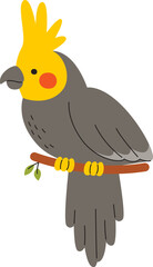 Fototapeta premium Corella Parrot Sitting On Twig