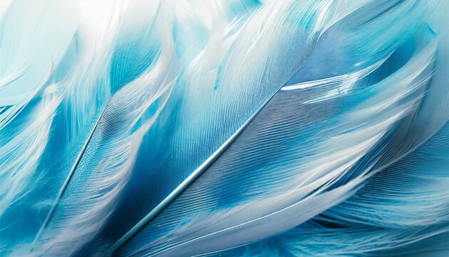 beautiful abstract blue feathers on white background white feather texture and blue background feather wallpaper blue texture banners love theme valentines day light blue texture white gradient