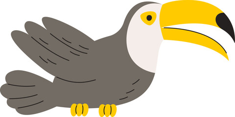 Toucan Tropical Bird