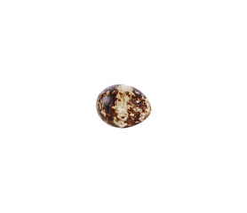 Quail eggs transparent png