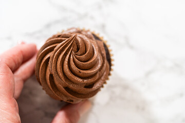 Baking Chocolate Cupcakes with Decadent Chocolate Frosting