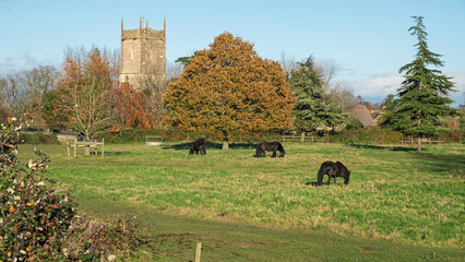 The 14th century parish church of St Mary the Virgin at Frampton on Severn in Gloucestershire UK on a sunny day in autumn