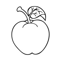 apple fruit line vector illustration