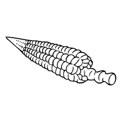 corn line vector illustration