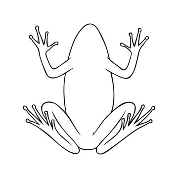 recommend clip art: frog line vector illustration