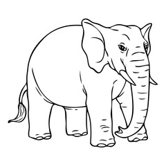 elephant line vector illustration