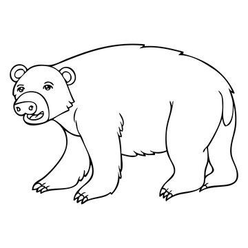 bear line vector illustration