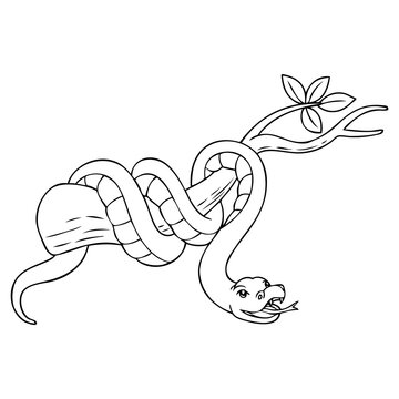 snake line vector illustration