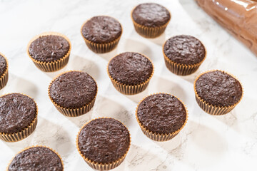 Baking Chocolate Cupcakes with Decadent Chocolate Frosting