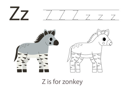 Tracing alphabet letters with cute animals. Color cute zonkey. Trace letter Z.