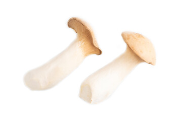 King Oyster mushrooms or Eringi (Pleurotus eryngii isolated on white. Top view.