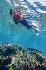 Naklejka na ściany i meble Indonesia Alor Island - Marine life Woman snorkeling in coral reef