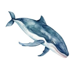 Watercolor Whale