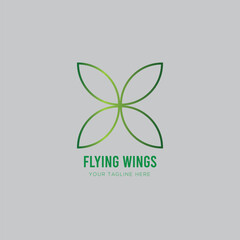 Flying Wings Logo Design 2024