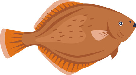 Flounder Fish Seafood