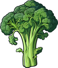 Broccoli clipart design illustration