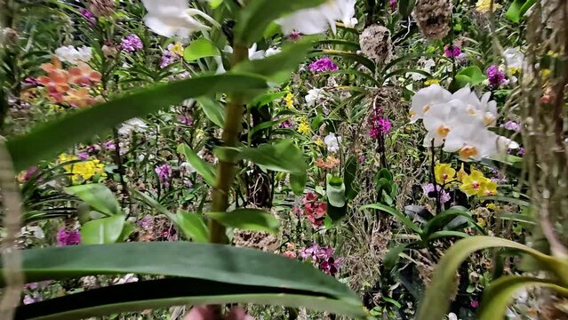 teamLab Planets is a museum where you walk through water, and a garden where you become one with the flowers. It comprises 4 large-scale artwork spaces and 2 gardens created by art collective teamLab.