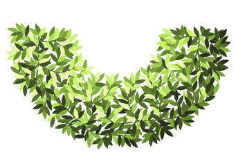 Fototapeta premium Bush for architectural floor plans. Entourage design. Top view tree for the landscape design plan. Vector illustration.