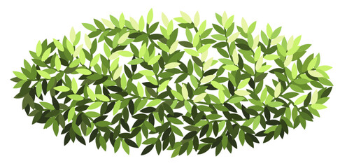 Bush for architectural floor plans. Entourage design. Top view tree for the landscape design plan. Vector illustration.